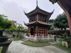 -碧江金楼