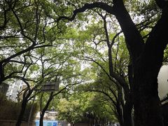 -四海公园(南山区)