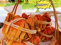 -欢乐蟹庄·精品农家乐(阳澄湖莲花岛店)
