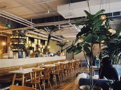 -the rug 飞毯 (朝阳公园店)