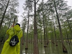 -泗洪洪泽湖湿地景区