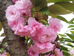 -白鹭湾湿地公园