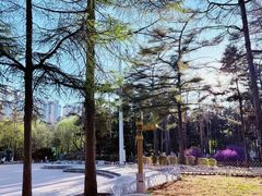 -黑龙江省森林植物园