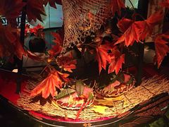 刺身五种拼盘-地球美食剧场