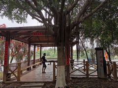 -福州大学(旗山校区)