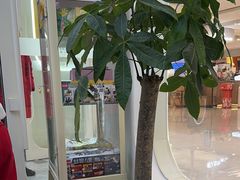 -童程童美·信息学竞赛·机器人编程·少儿编程(五棵松万达校区)