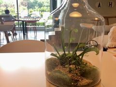 -dotcom coffee古点咖啡(致真大厦店)
