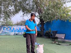 -宠物寄养训练学校