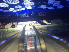 -盒马X会员店(上海森兰商都店)