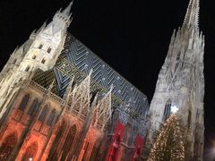 -斯蒂芬主教座堂(Stephansdom)