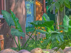 -成都市活水公园