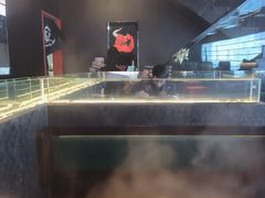 -牛武士寿喜烧·和牛火锅自助(全球首店)