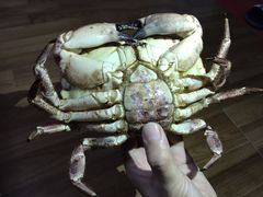 -盒马鲜生(大成店)