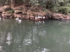 -兰亭风景区