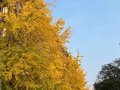 -老鼎万春卤菜(五代传承创始老店)