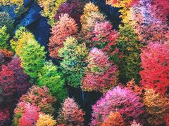 -罗红摄影艺术馆