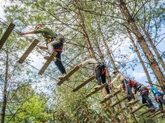 -梦幻奥陶纪景区