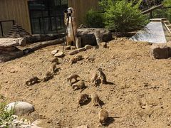 -沈阳森林动物园