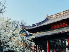 -灵谷景区