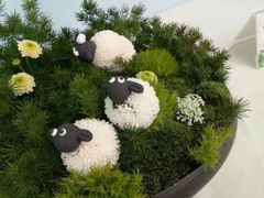 -南山植物园