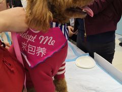 -凯德广场(埃德蒙顿路店)