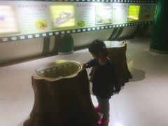 -上海昆虫博物馆