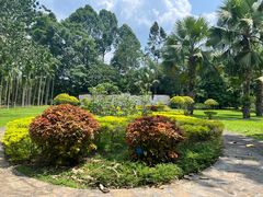 -中国科学院西双版纳热带植物园