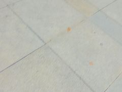 -水绘园