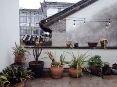 -翠田Green Field Kitchen