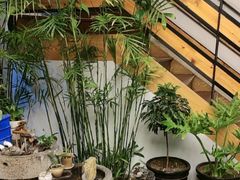 -蘇河湾·新鲁菜·泰山宴老店