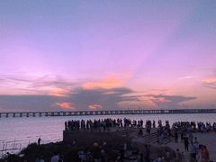 -宝安西湾红树林湿地公园