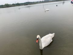 -宁波杭州湾国家湿地公园
