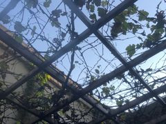 -春晖园度假酒店温泉