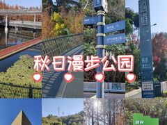 -福道