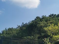 -雅达·阳羡溪山小镇中心