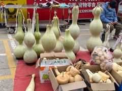 -中环花鸟鱼虫市场