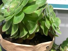 -鹿岛会员店 (龙湖三千集天街店)