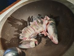 -鲜潭蒸汽石锅鱼(五道口购物中心店)