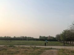 -汉长安城未央宫国家考古遗址公园