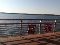 -丁香湖公园