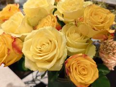 大堂-小西家作(富力爱丁堡店)