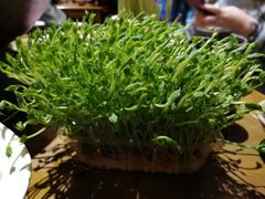 -白乐天毛肚火锅馆(解放碑店)