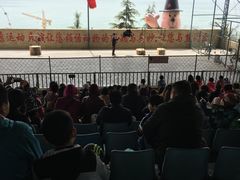 -东方熊牧场