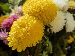 -兴隆文化园景区