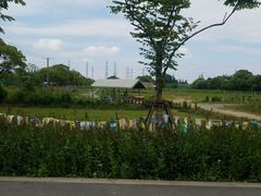 -长兴岛郊野公园农场食堂