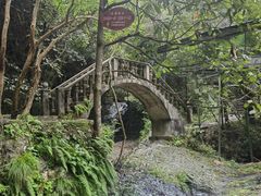 -夏霖九天银瀑风景区