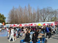 -自然谷恐龙园