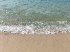 -玫瑰海岸文化旅游度假区