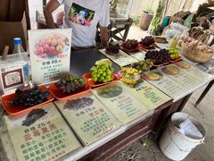 -马陆小张葡萄园农家乐