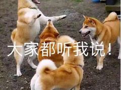 -老伯蟹脚店(朝阳路店)